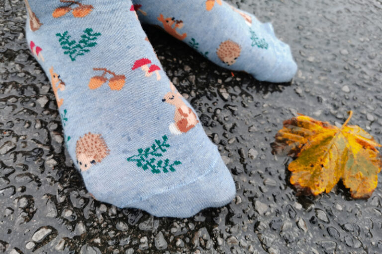 Autumn Socks – About Looking For A Home