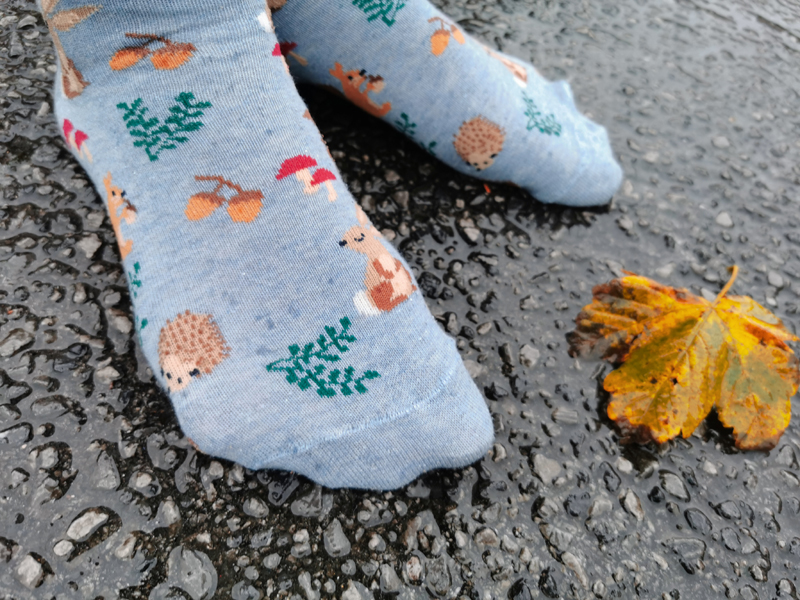 Autumn Socks – About Looking For A Home
