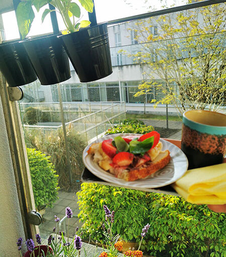 Breakfast with the garden
